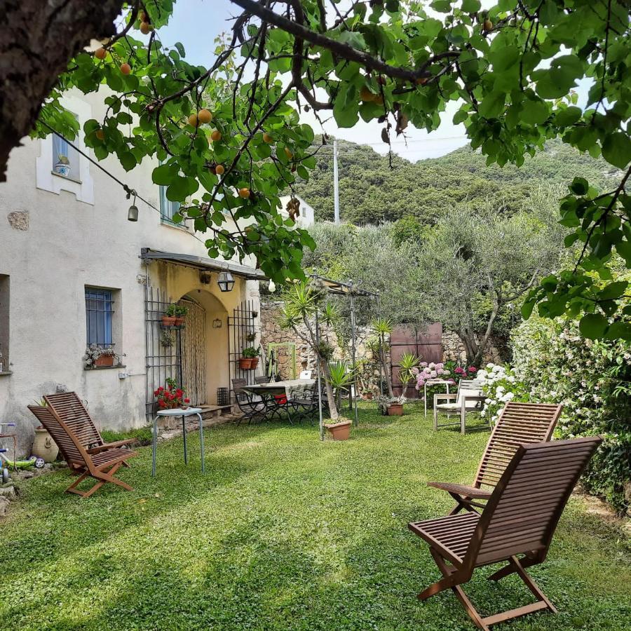 Casa Olivia Lacrema ฟีนาเลลีกูเร ภายนอก รูปภาพ